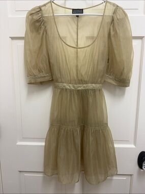 Danielle Bernstein Organza Dress! Beautiful!